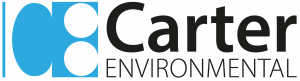 Logo CEE 2021 2x